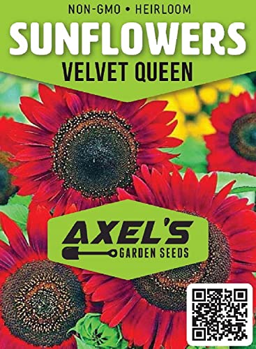 Sunflower Seeds for Planting - Grow Red Velvet Queen Sun Flowers in Your Garden - 25 Non GMO Heirloom Seeds - Full Planting Instructions for Easy to Grow - Great Gardening Gifts (1 Packet)