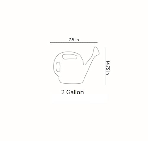 The HC Companies 2 Gallon Standard Watering Can, Green