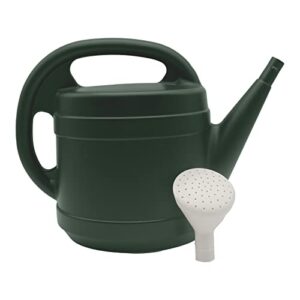 The HC Companies 2 Gallon Standard Watering Can, Green