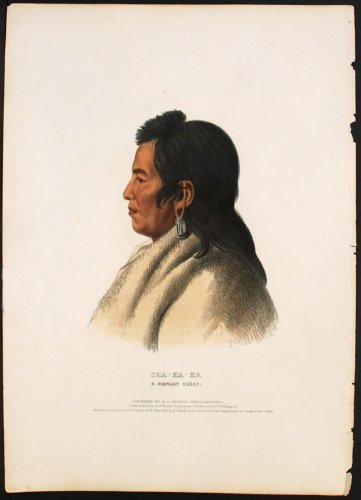 Sha-Ha-Ka, A Mandan Chief