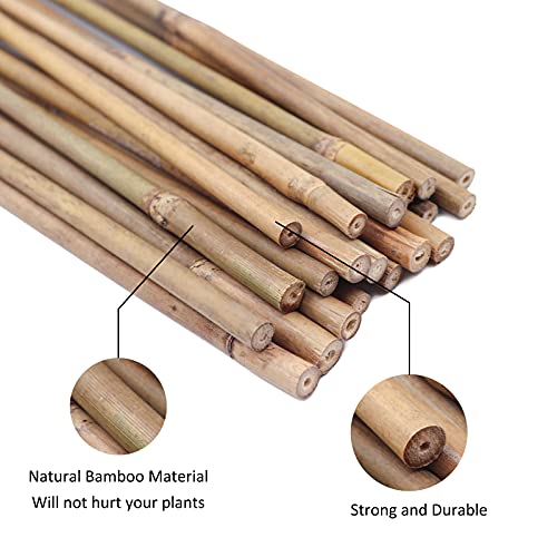 Plant Stakes Natural Garden Bamboo Sticks for Indoor and Outdoor Plants, GAGINANG 20pcs Plant Support Stakes for Tomatoes, Beans, Potted Plants - 18 inches