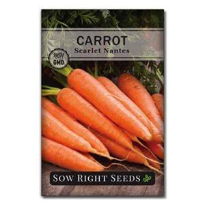 sow right seeds – scarlet nantes carrot seed for planting – non-gmo heirloom packet with instructions to plant a home vegetable garden, indoors or outdoor; great gardening gift (1)