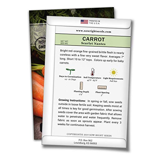 Sow Right Seeds - Scarlet Nantes Carrot Seed for Planting - Non-GMO Heirloom Packet with Instructions to Plant a Home Vegetable Garden, Indoors or Outdoor; Great Gardening Gift (1)