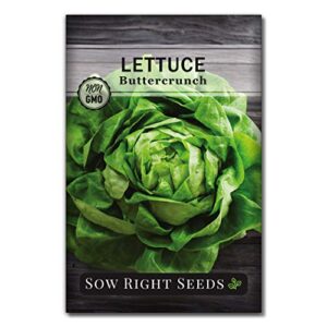 sow right seeds – buttercrunch lettuce seeds for planting – non-gmo heirloom packet with instructions to plant a home vegetable garden, indoors or outdoor; heat tolerant variety; great gardening gift