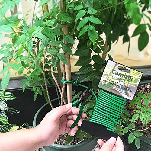 CAMITLLI Reusable Garden Plant Wire Twist Tie, Plant Ties Heavy Duty Soft Wire Tie for Gardening Home Office (Green, 2PCS X 32.8feet Total, 65.8feet)