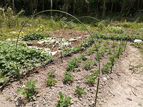 Garden Hoops for Raised Beds Hoop House Greenhouse Hoops for Garden Beds Green House Hoops for Garden Netting Wire Hoops Garden Tunnel Garden Hoops for Row Cover Hoops Fiberglass 6.56ft+1.31ft (6Pack)