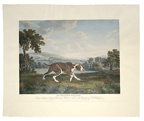 The Spanish Pointer, Engraved after an Original Picture of Mr. George Stubbs, in the Possession of Mr. Bradford