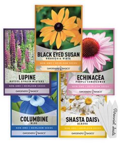 perennial flower seeds for planting outdoors (5 variety pack) lupine, columbine, echinacea purple coneflower, black eyed susan, shasta daisy for pollinators wildflower seed by gardeners basics
