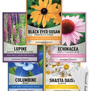 Perennial Flower Seeds for Planting Outdoors (5 Variety Pack) Lupine, Columbine, Echinacea Purple Coneflower, Black Eyed Susan, Shasta Daisy for Pollinators Wildflower Seed by Gardeners Basics