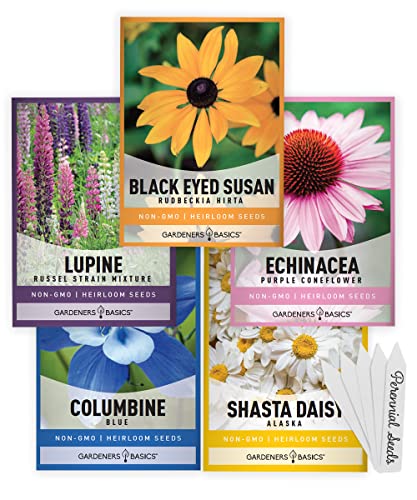 Perennial Flower Seeds for Planting Outdoors (5 Variety Pack) Lupine, Columbine, Echinacea Purple Coneflower, Black Eyed Susan, Shasta Daisy for Pollinators Wildflower Seed by Gardeners Basics