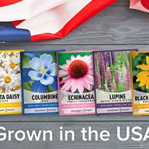 Perennial Flower Seeds for Planting Outdoors (5 Variety Pack) Lupine, Columbine, Echinacea Purple Coneflower, Black Eyed Susan, Shasta Daisy for Pollinators Wildflower Seed by Gardeners Basics