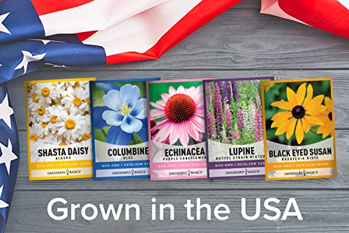 Perennial Flower Seeds for Planting Outdoors (5 Variety Pack) Lupine, Columbine, Echinacea Purple Coneflower, Black Eyed Susan, Shasta Daisy for Pollinators Wildflower Seed by Gardeners Basics