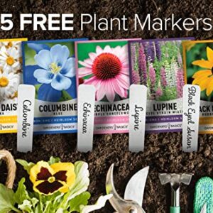 Perennial Flower Seeds for Planting Outdoors (5 Variety Pack) Lupine, Columbine, Echinacea Purple Coneflower, Black Eyed Susan, Shasta Daisy for Pollinators Wildflower Seed by Gardeners Basics