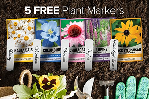 Perennial Flower Seeds for Planting Outdoors (5 Variety Pack) Lupine, Columbine, Echinacea Purple Coneflower, Black Eyed Susan, Shasta Daisy for Pollinators Wildflower Seed by Gardeners Basics