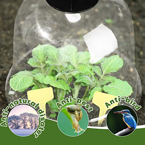 Remerry 20 Pack Garden Cloche Clear Bell Covers Freeze Protection Humidity Domes Plastic Dome 7.3 x 6.7 Inch with 60 Ground Securing Pegs and Plant Labels for Plants Seed Starting Greenhouse