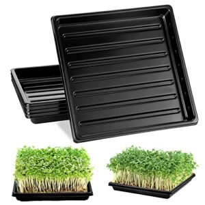 5 pack garden plant growing trays without holes – 10″ x 10″ no drain holes microgreens growing trays, seedling tray, wheatgrass sprouting tray, hydroponic trays, greenhouse seed starter trays