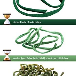 BioStretch Soft Plant Ties for Climbing Plants (Stretchy Green Garden Twine and Plant String - Green Bio Roll X 1)