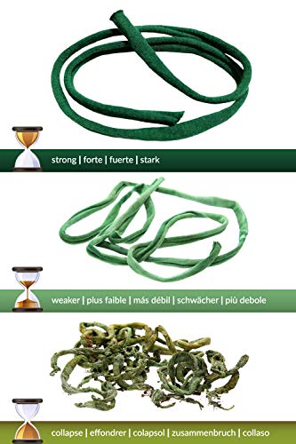 BioStretch Soft Plant Ties for Climbing Plants (Stretchy Green Garden Twine and Plant String - Green Bio Roll X 1)