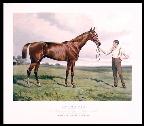 Sainfoin. By Springfield - Sanda. The Property of Sir James P. Miller, Baronet. From the Original Picture by A.C. Havell. Winner of the Derby Stakes at Epsom, 1890