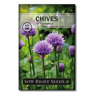 sow right seeds – chives seed for planting – non-gmo heirloom; instructions to plant and grow kitchen herb garden, indoor or outdoor; great garden gift (1)