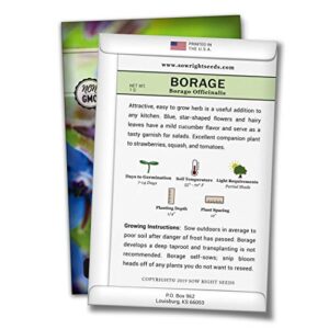 Sow Right Seeds - Borage Seed to Plant - Non-GMO Heirloom Seeds - Full Instructions for Easy Planting and Growing a Kitchen Herb Garden, Indoors or Outdoor; Great Gardening Gift (1)