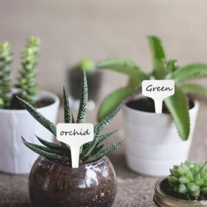 150 Pcs T-Type Plant Labels,Plant Labels Garden Labels Markers Nursery Label PVC Garden Tag,for Seed Potted Herb Flower Vegetable, 2.36" x 3.94"