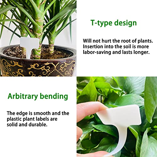 150 Pcs T-Type Plant Labels,Plant Labels Garden Labels Markers Nursery Label PVC Garden Tag,for Seed Potted Herb Flower Vegetable, 2.36" x 3.94"