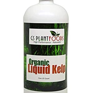 Organic Kelp Fertilizer by GS Plant Foods - Omri Certified (1 Quart) - Kelp Fertilizer for Gardens, Lawns & Soil