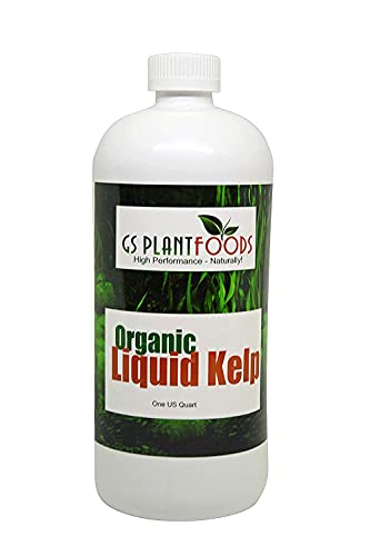 Organic Kelp Fertilizer by GS Plant Foods - Omri Certified (1 Quart) - Kelp Fertilizer for Gardens, Lawns & Soil