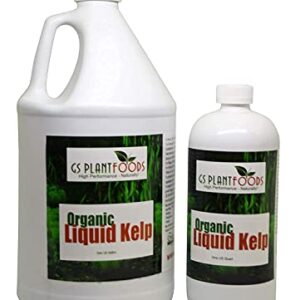 Organic Kelp Fertilizer by GS Plant Foods - Omri Certified (1 Quart) - Kelp Fertilizer for Gardens, Lawns & Soil