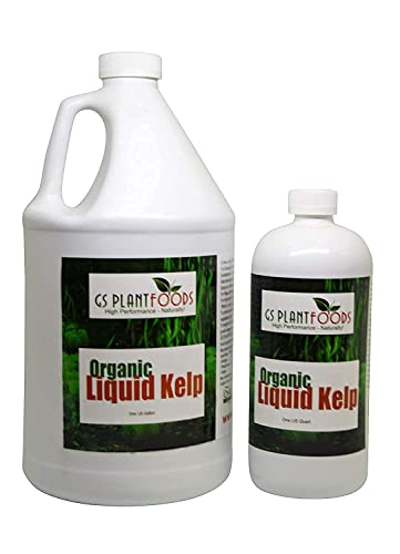 Organic Kelp Fertilizer by GS Plant Foods - Omri Certified (1 Quart) - Kelp Fertilizer for Gardens, Lawns & Soil