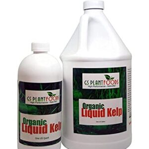 Organic Kelp Fertilizer by GS Plant Foods - Omri Certified (1 Quart) - Kelp Fertilizer for Gardens, Lawns & Soil