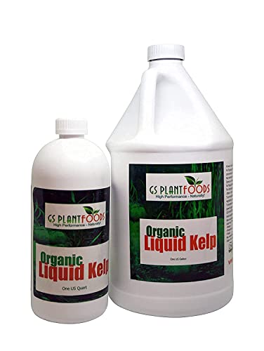 Organic Kelp Fertilizer by GS Plant Foods - Omri Certified (1 Quart) - Kelp Fertilizer for Gardens, Lawns & Soil