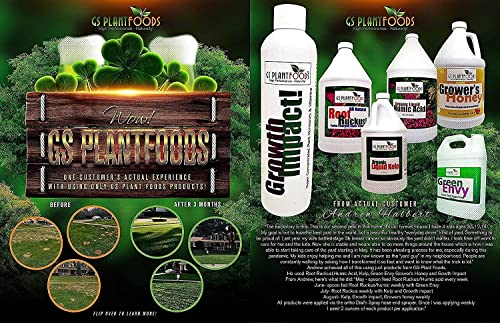 Organic Kelp Fertilizer by GS Plant Foods - Omri Certified (1 Quart) - Kelp Fertilizer for Gardens, Lawns & Soil