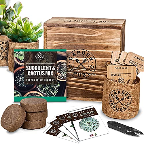 Cactus Succulent Seed Starter Kit - Indoor Garden Grow Kits, Seeds for Planting Mini Cactus Succulent Plants, Plant Markers, Soil, Pots, Wood Box - Gardening Gifts, Terrarium, Cacti Succulents Decor