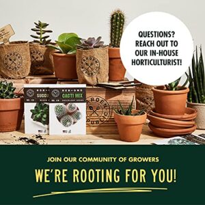 Cactus Succulent Seed Starter Kit - Indoor Garden Grow Kits, Seeds for Planting Mini Cactus Succulent Plants, Plant Markers, Soil, Pots, Wood Box - Gardening Gifts, Terrarium, Cacti Succulents Decor