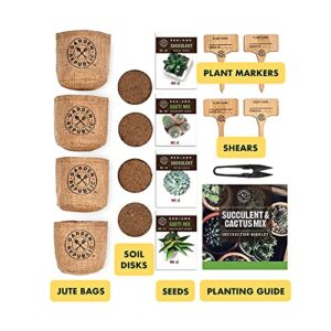 Cactus Succulent Seed Starter Kit - Indoor Garden Grow Kits, Seeds for Planting Mini Cactus Succulent Plants, Plant Markers, Soil, Pots, Wood Box - Gardening Gifts, Terrarium, Cacti Succulents Decor