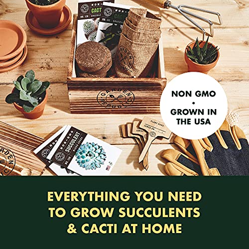 Cactus Succulent Seed Starter Kit - Indoor Garden Grow Kits, Seeds for Planting Mini Cactus Succulent Plants, Plant Markers, Soil, Pots, Wood Box - Gardening Gifts, Terrarium, Cacti Succulents Decor