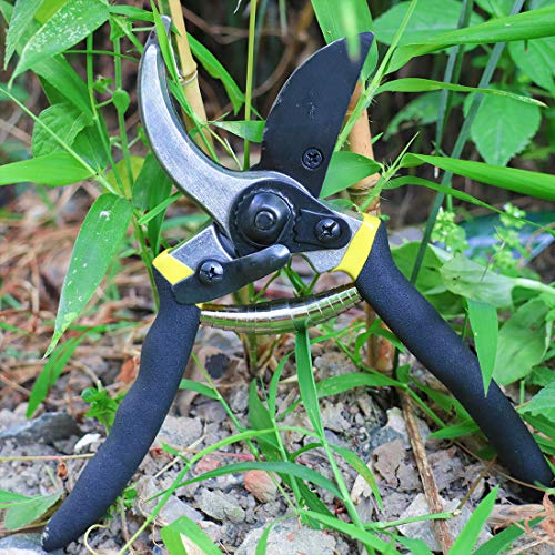 TOOLMOOM Hand Pruner Professional Pruning Shears Heavy Duty Garden Shears, Clippers for The Garden,Tree Trimmers (Black)