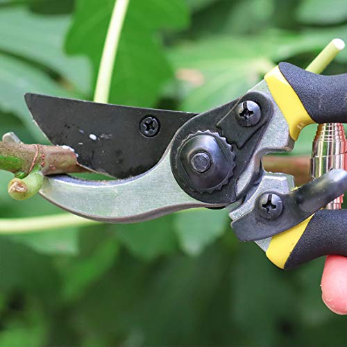 TOOLMOOM Hand Pruner Professional Pruning Shears Heavy Duty Garden Shears, Clippers for The Garden,Tree Trimmers (Black)