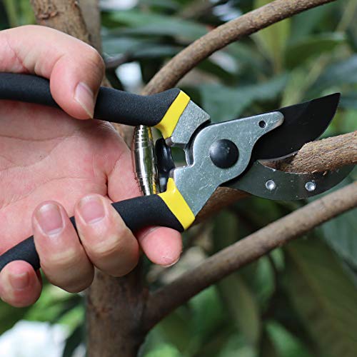 TOOLMOOM Hand Pruner Professional Pruning Shears Heavy Duty Garden Shears, Clippers for The Garden,Tree Trimmers (Black)