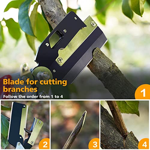 FUJIWARA Garden Grafting Tool Multifunctional Pruning Kit V-Graft Seedling for Fruit Tree Grafting, Including 2 Different Sizes Graft Tapes, 1 Screwdriver, 1 Replacement Blade,Red