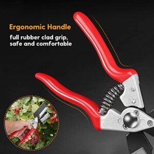 FUJIWARA Garden Grafting Tool Multifunctional Pruning Kit V-Graft Seedling for Fruit Tree Grafting, Including 2 Different Sizes Graft Tapes, 1 Screwdriver, 1 Replacement Blade,Red