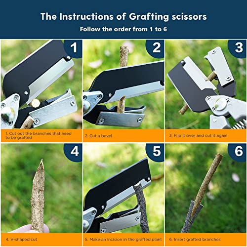 FUJIWARA Garden Grafting Tool Multifunctional Pruning Kit V-Graft Seedling for Fruit Tree Grafting, Including 2 Different Sizes Graft Tapes, 1 Screwdriver, 1 Replacement Blade,Red