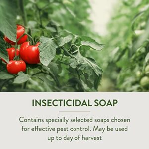 Garden Safe 32 oz. Insecticidal Soap Ready-to-Use