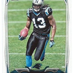 Carolina Panthers 2014 Topps NFL Football Complete Regular Issue 14 Card Team Set Including Cam Newton, Luke Kuechly, Kelvin Benjamin Plus