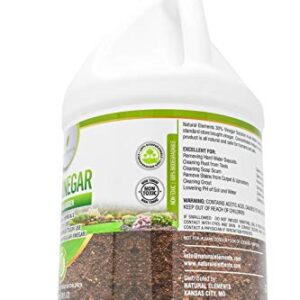 Natural Elements 30% Vinegar | Home & Garden | 6X Cleaning Power | Multiple Uses | 1 Gallon