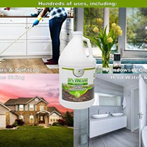 Natural Elements 30% Vinegar | Home & Garden | 6X Cleaning Power | Multiple Uses | 1 Gallon