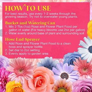 Rose & Flower Natural Plant Food for Prize Winning Blooms in Homes & Gardens by Bloom City, Quart (32 oz)