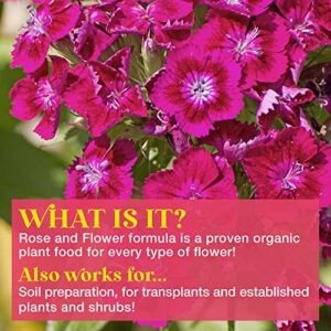 Rose & Flower Natural Plant Food for Prize Winning Blooms in Homes & Gardens by Bloom City, Quart (32 oz)